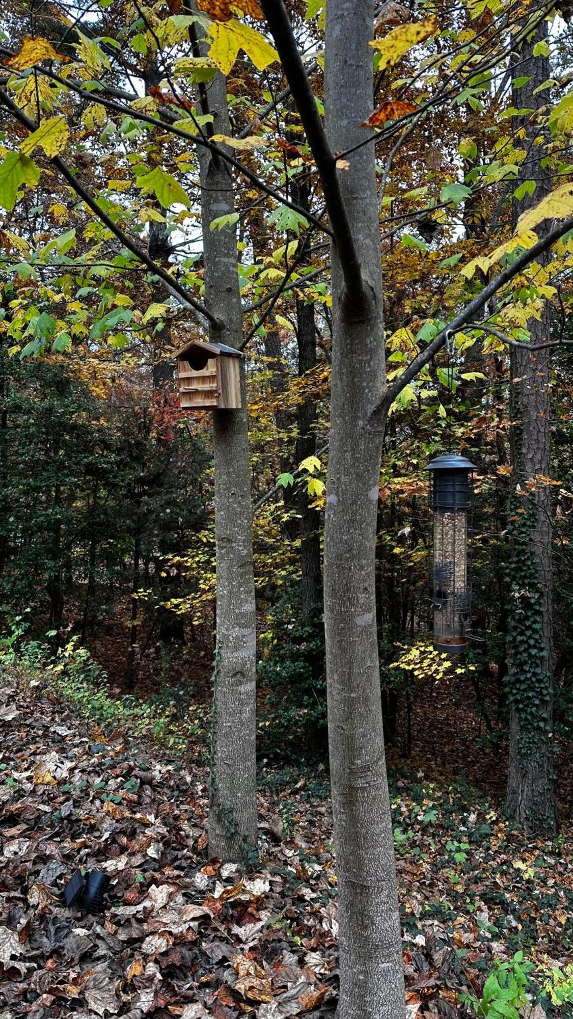 מרפי Appalachian Mountain Cabin-Updated-Private-Rafting On Ocoee River-Hiking-Waterfalls-Wifi-Pets Ok מראה חיצוני תמונה