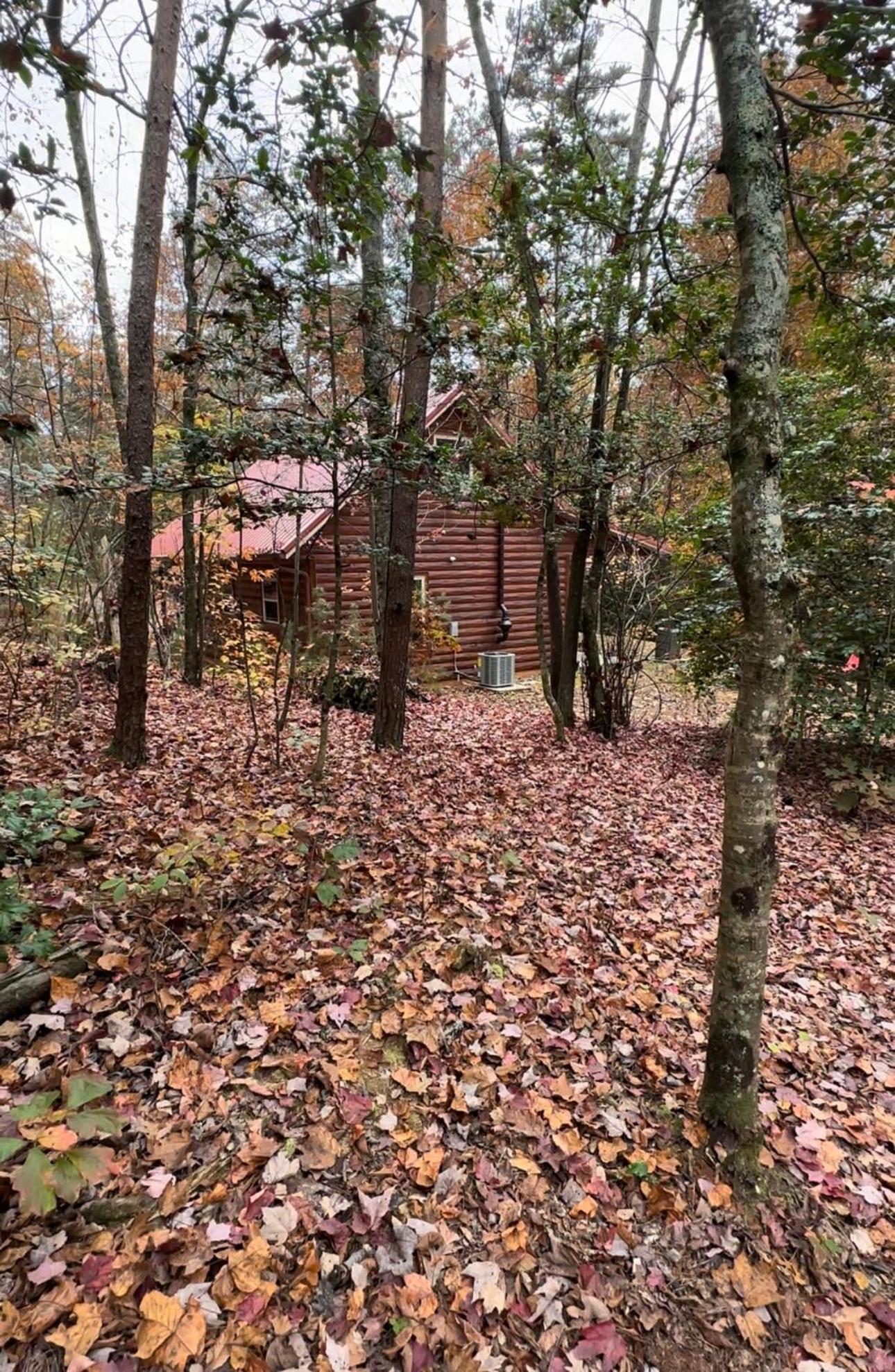 מרפי Appalachian Mountain Cabin-Updated-Private-Rafting On Ocoee River-Hiking-Waterfalls-Wifi-Pets Ok מראה חיצוני תמונה